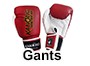 gant boxe thai